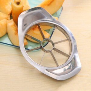 Stainless Steel Apple Slicer